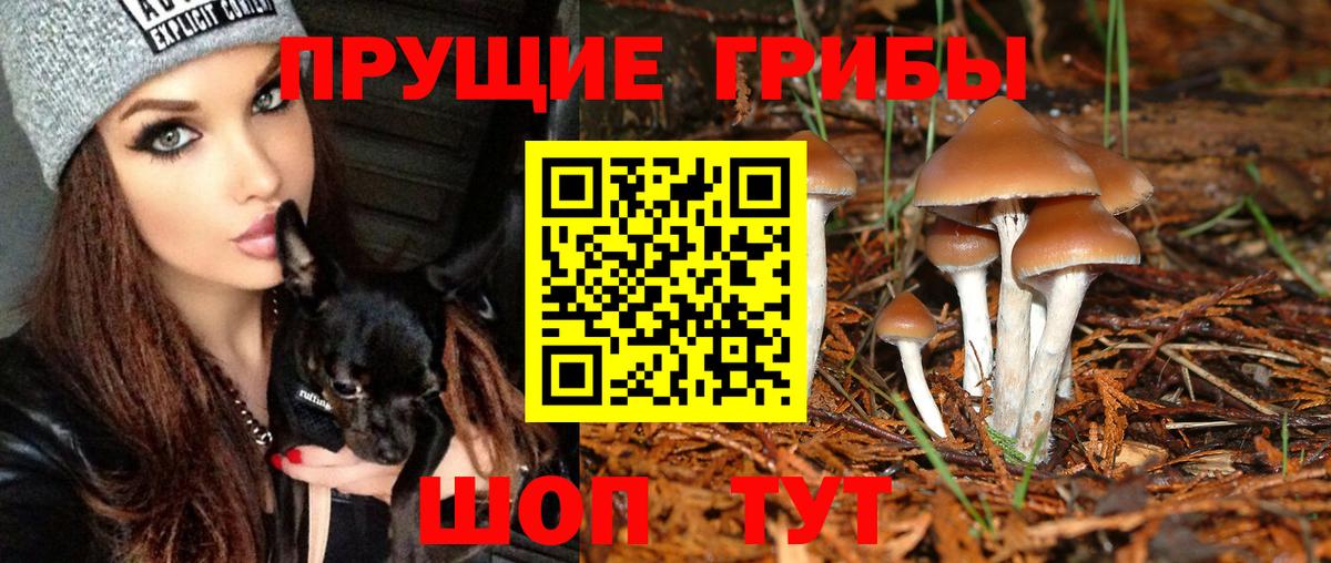 Сердобск  Галлюциногенные грибы мухоморы  Вход с VPN  Галлюциногенные грибы ЛСД 