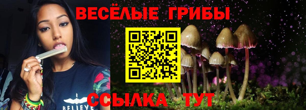 Галлюциногенные грибы Magic Shrooms Сердобск